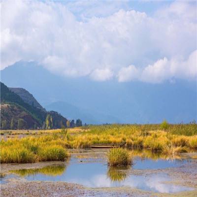 10多种气象指数保险帮农户化解极端天气担忧